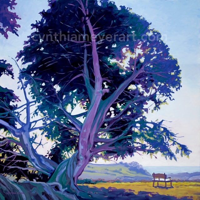 A painting of the trees and bench California hike