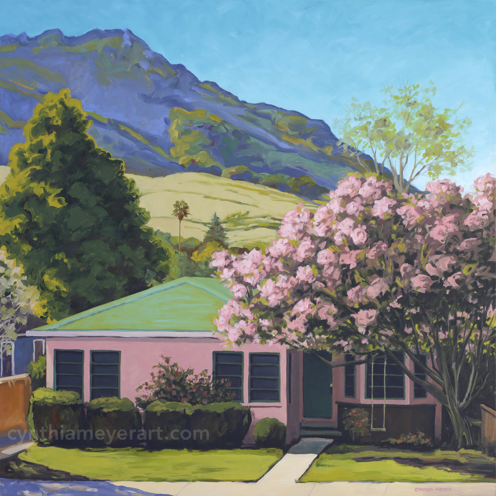 Pink-House-San-Luis-Obispo-Cynthia-Meyer